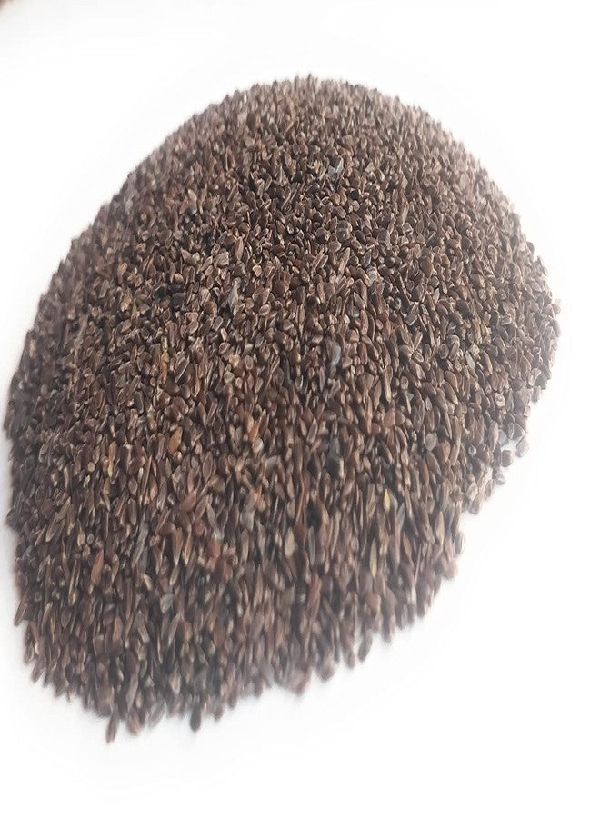 Ayushiv TALMAKHANA SEEDS (Asteracantha Longifolia) - KOKILAKSHA BEEJ - TAAL MAKHANA BEEJ (50) - Image 5